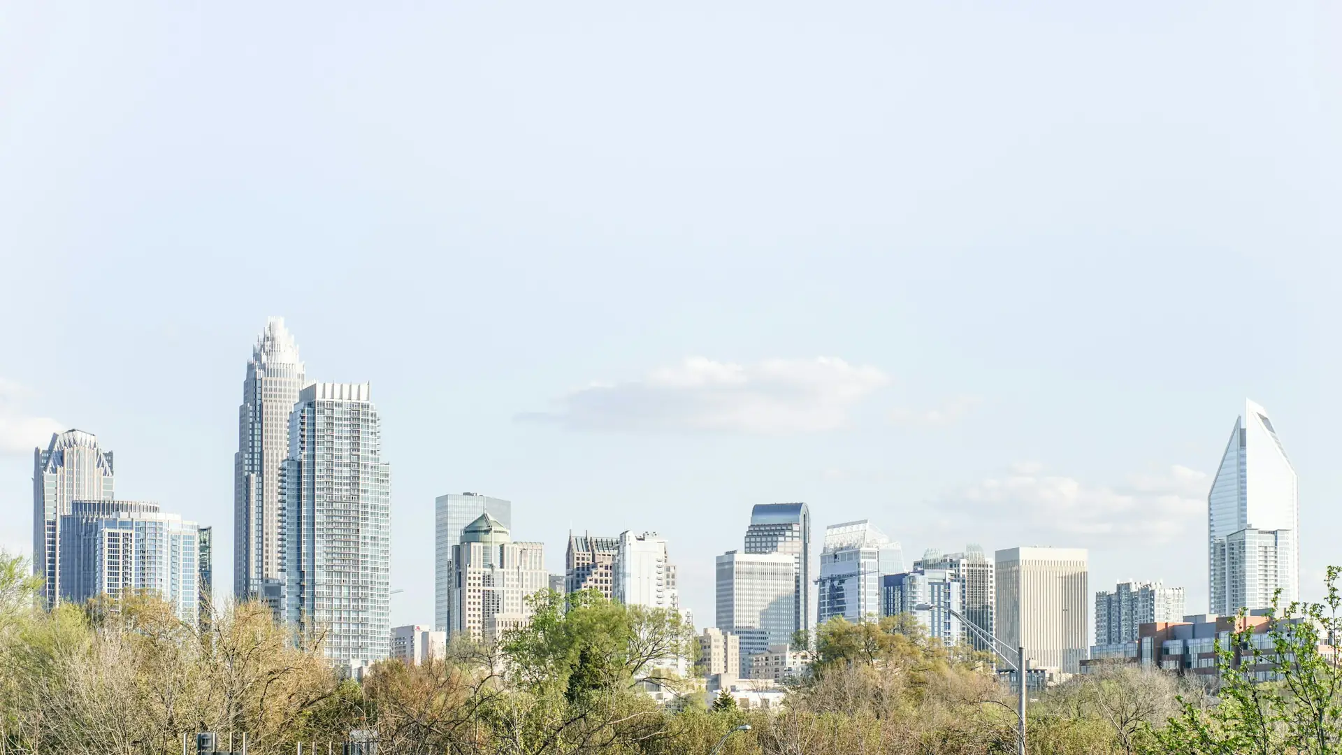 A downtown skyline rising above the trees on a clear day